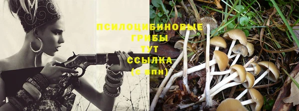 mdpv Липки