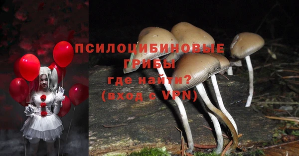 крисы Лиски