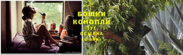 крисы Лиски
