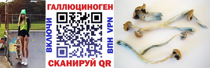 купить наркоту  Долгопрудный  Псилоцибиновые грибы ЛСД 