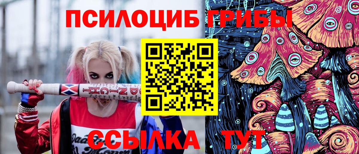 Долгопрудный  Псилоцибиновые грибы мицелий  Вход с VPN  Галлюциногенные грибы Magic Shrooms 