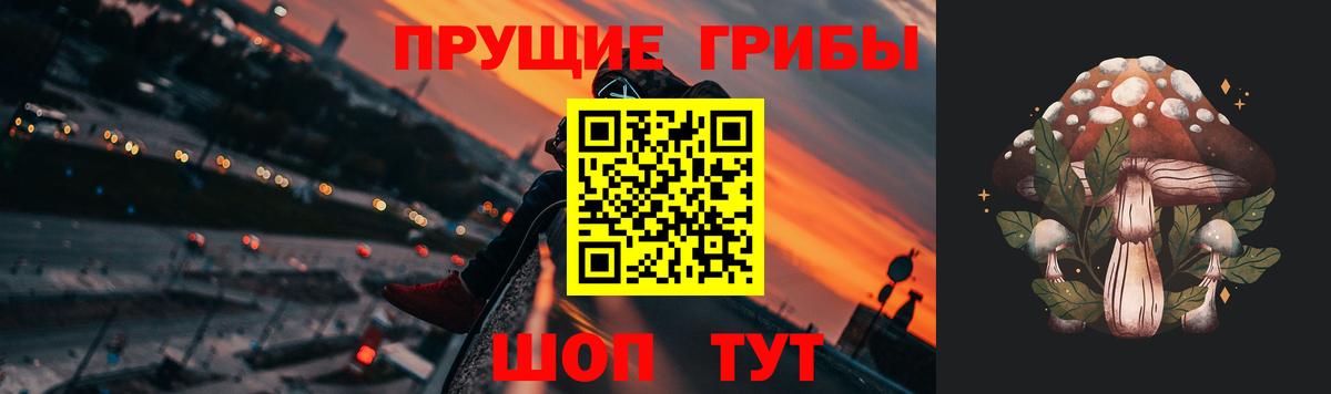 Галлюциногенные грибы GOLDEN TEACHER Долгопрудный