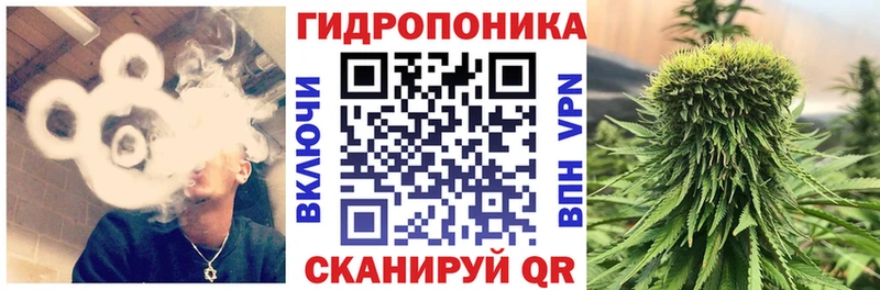 Бошки Шишки сатива Долгопрудный